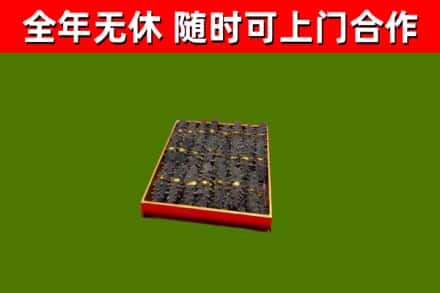 新宾回收海参